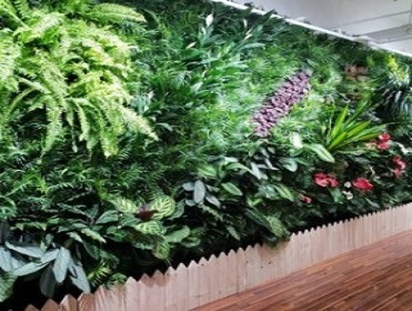 植物墙设计制作